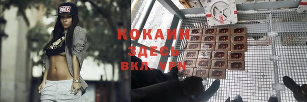 мяу мяу мука Инта