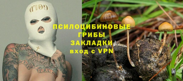 мяу мяу мука Инта